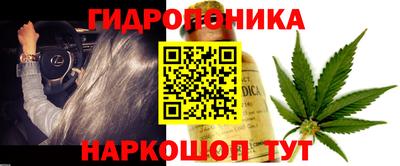 бутират Кингисепп