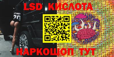 бутират Кингисепп