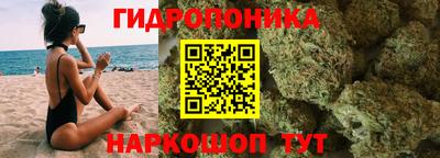 бутират Кингисепп