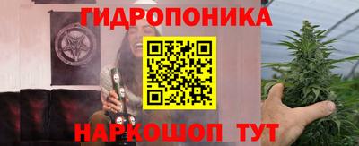 jwh Кимры