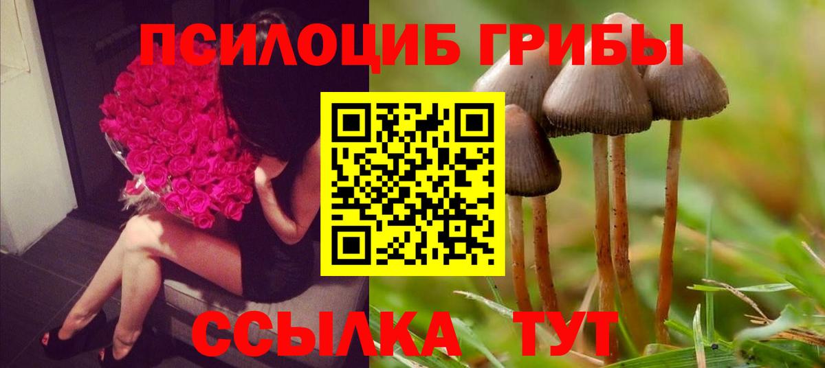 Янаул  Галлюциногенные грибы Magic Shrooms  закладки  Вход с VPN 